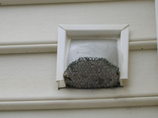 Dirty Dryer Vent Baltimore Maryland
